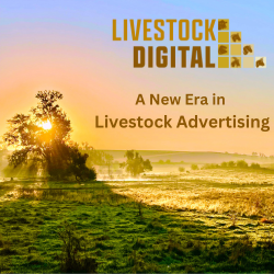 Livestock Digital